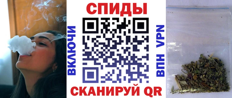 Купить где  Железногорск-Илимский  Бутират буратино 