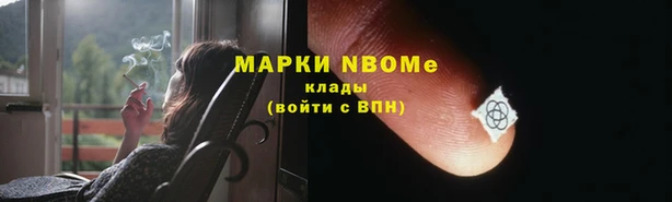 прущие грибы Зеленокумск