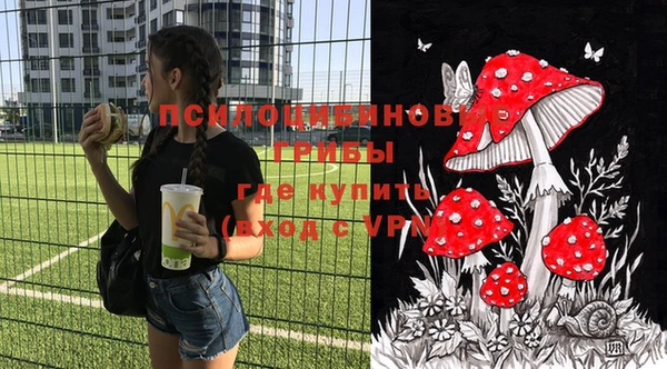прущие крисы Инта