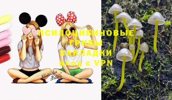 прущие крисы Инта